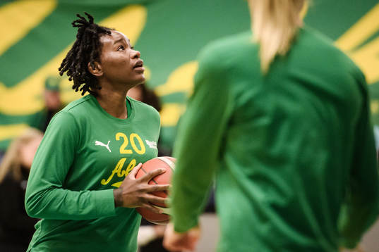 Alviks Shanity James värmer upp