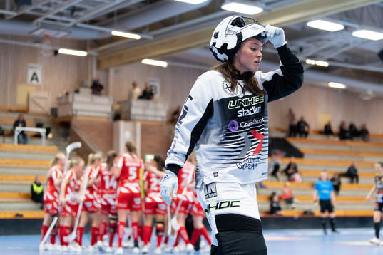 Endres målvakt Frida Görtz deppar