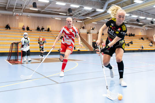 Pixbos Cajsa Elm och Endres Ellen Berglund