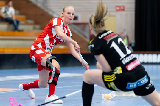 Pixbos Cajsa Elm