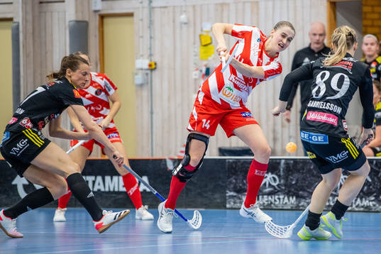 Pixbos Klara Loneberg
