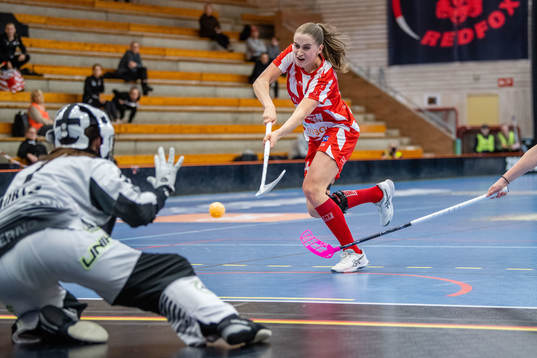 Pixbos Klara Loneberg och Endres målvakt Frida Görtz