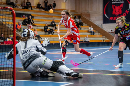 Pixbos Klara Loneberg och Endres målvakt Frida Görtz