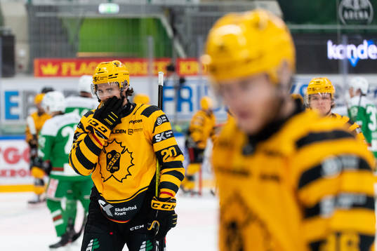 Skellefteås Roland McKeown deppar