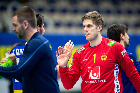 Sveriges målvakt Peter Johannesson jublar