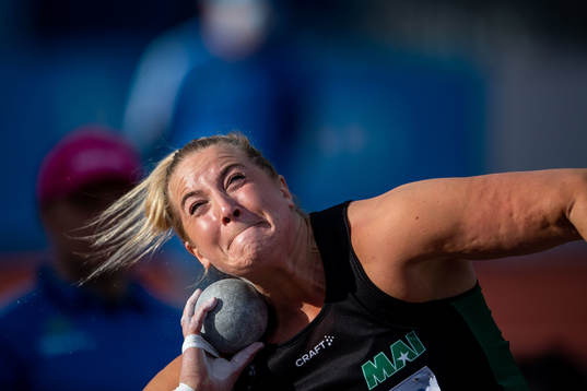 Fanny Roos, Malmö AI