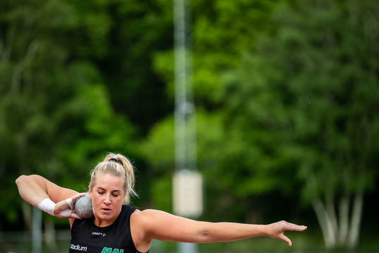 Fanny Roos, Malmö AI