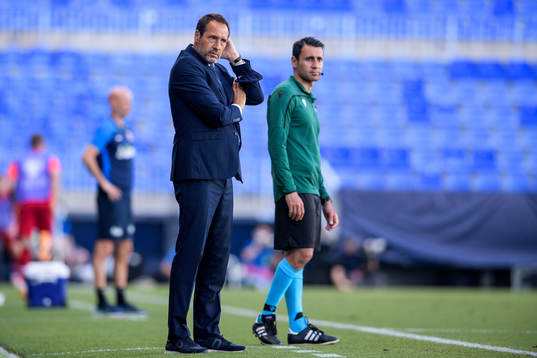 John van't Schip, head coach of Greece