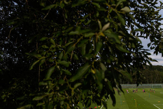 Laget tränar op gräsplanen på Gothia Park Academy