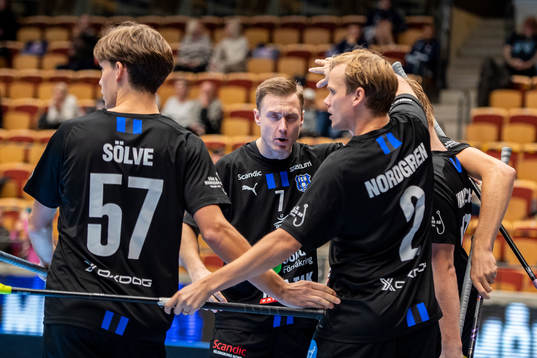 Helsingborgs Kristoffer Fält jublar