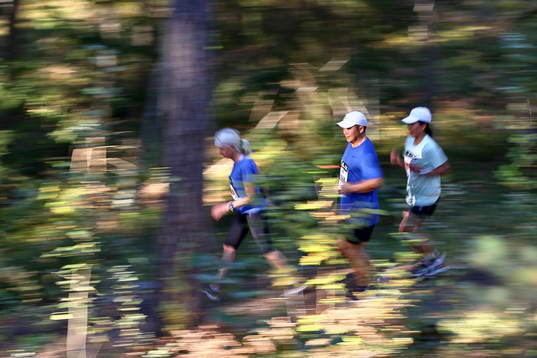 Löpare i Lidingöloppet 30 km
