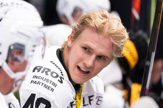 Västerås Isak Skedung