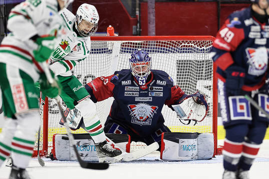 Linköpings målvakt Marcus Högberg