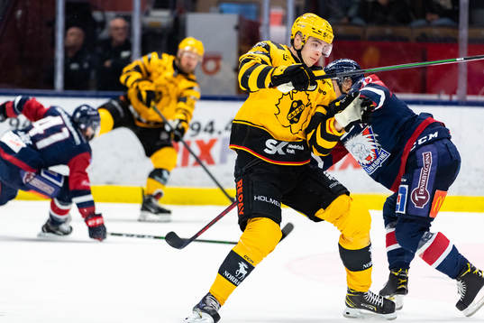 Skellefteås Stefan Loibl