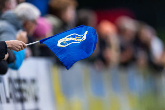 En Halmstad flagga