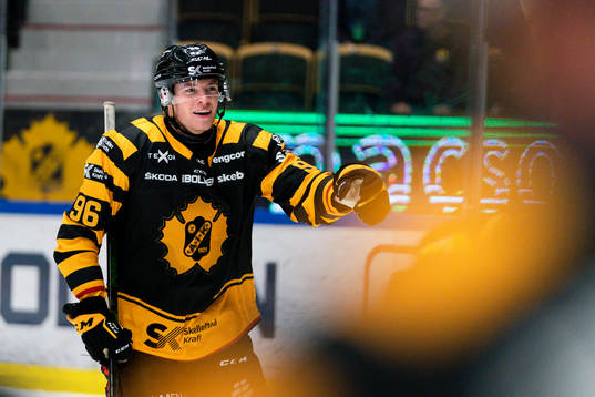 Skellefteås Rickard Hugg jublar