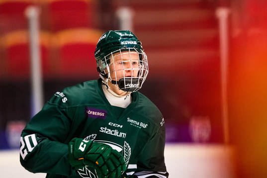 Färjestads Martin Johnsen