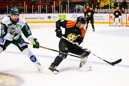 Brynäs Anton Rödin