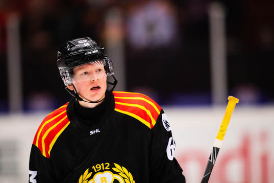 Brynäs Julius Bergman