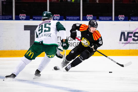 Brynäs Tomi Sallinen