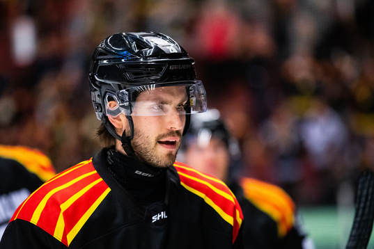 Brynäs Oula Palve
