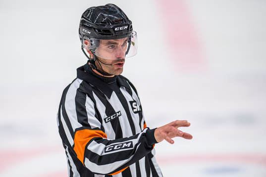 Domare Richard Magnusson