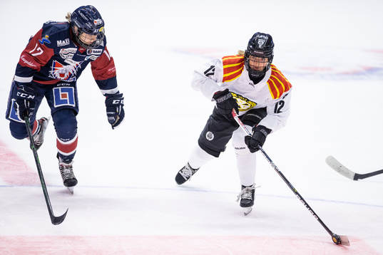 Brynäs Fanny Brolin