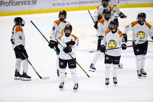 Brynäs spelare deppar