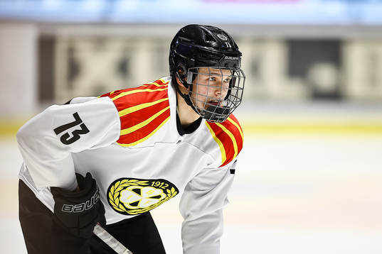 Brynäs Theo Lindstein
