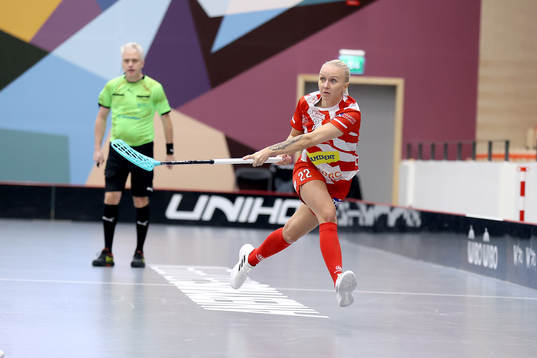 Pixbos Laura Manninen
