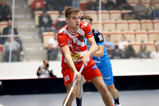 Pixbos Linus Nestorsson