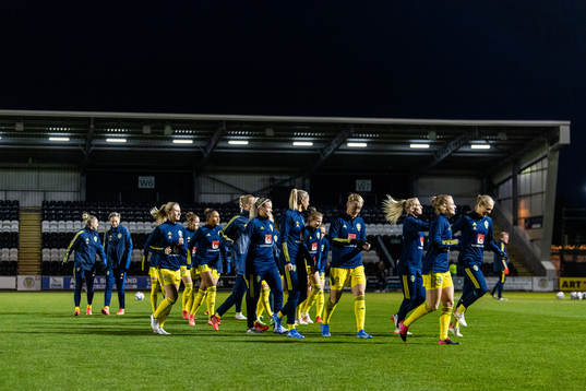 Players of Sweden
