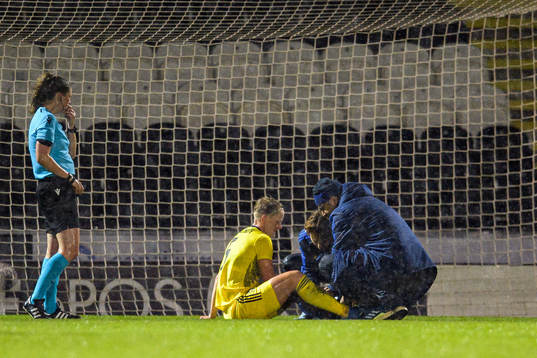Nilla Fischer of Sweden in pain