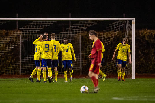 Sveriges spelare jublar