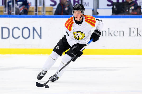 Brynäs Noel Gunler