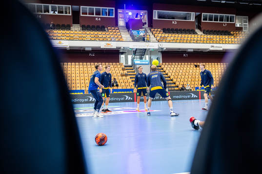 Players of Sweden