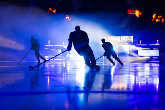 Spelare ur HV71