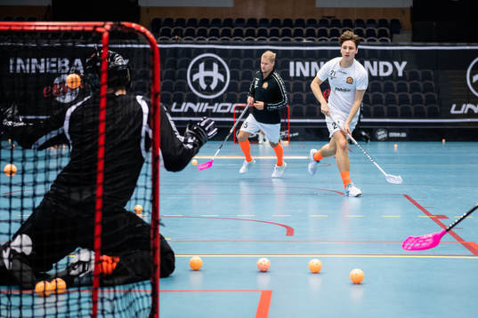 Höllvikens Theo Nysten