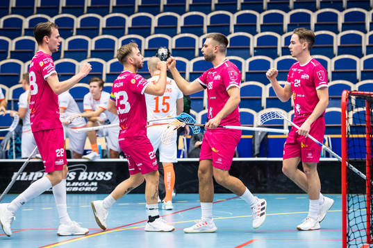 Malmös spelare jublar