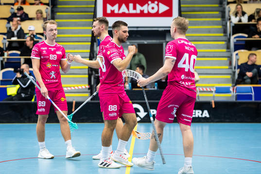 Malmös spelare jublar