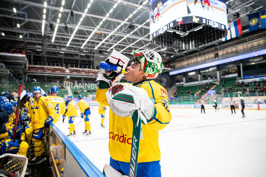 Goalkeeper Calle Clang of Sweden