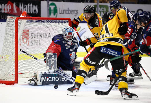 Linköpings målvakt David Rautio