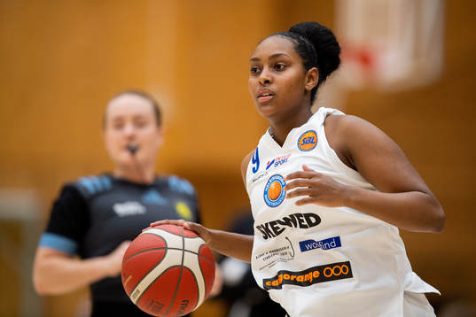 Helsingborgs Divora Alem