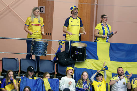 Svenska supportrar