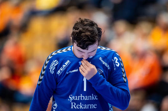Guifs målvakt Marko Roganovic deppar