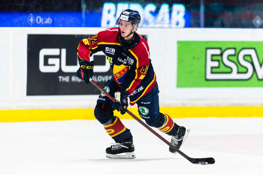 Djurgårdens Ludvig Hedström