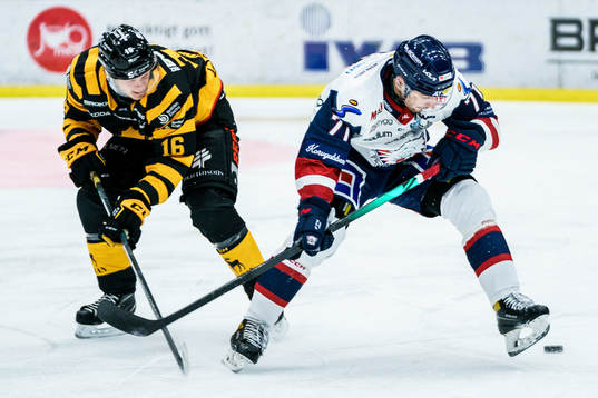 Bläddra bland fler bilder av Ishockey, SHL, Skellefteå - Linköping