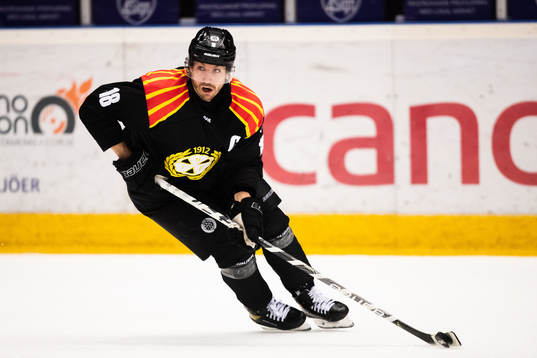 Brynäs Anton Rödin