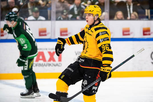 Skellefteås Rickard Hugg jublar