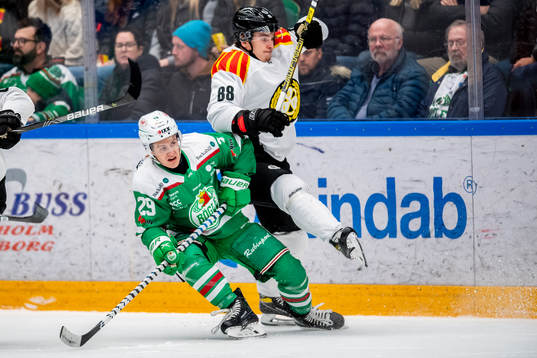 Rögles Tyler Kelleher och Brynäs Dmytro Timashov